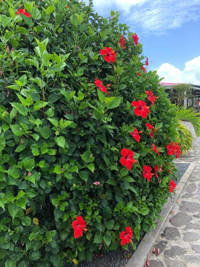 Lovely Apartment In Flic En Flac, Close To The Beach And All Amenities. エクステリア 写真